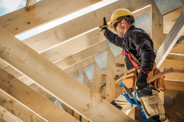 Best Roof Gutter Cleaning  in Rushvle, IL