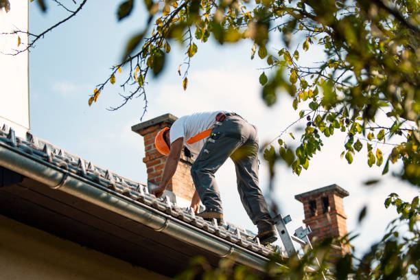Best Roof Leak Repair  in Rushvle, IL