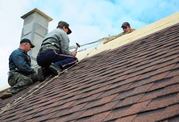 Best Flat Roof Repair Services  in Rushvle, IL