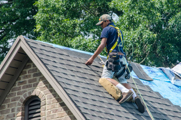 Best Roof Restoration Services  in Rushvle, IL